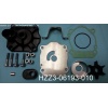 HZZ3-06193-010 Water Pump Kit BFT60 4-Stroke Model TOHATSU